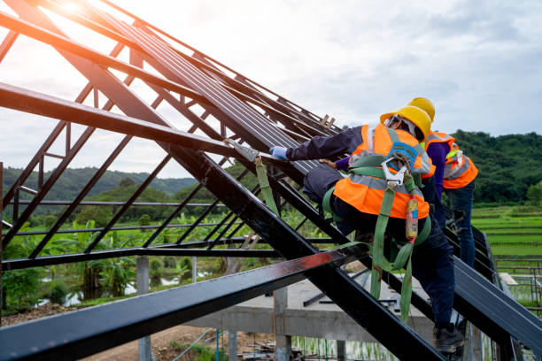 Best Roof Repair Services  in Horace, ND