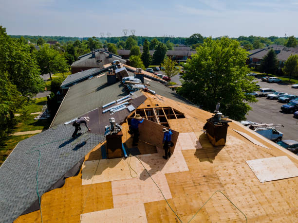 Best Flat Roof Repair Services  in Horace, ND