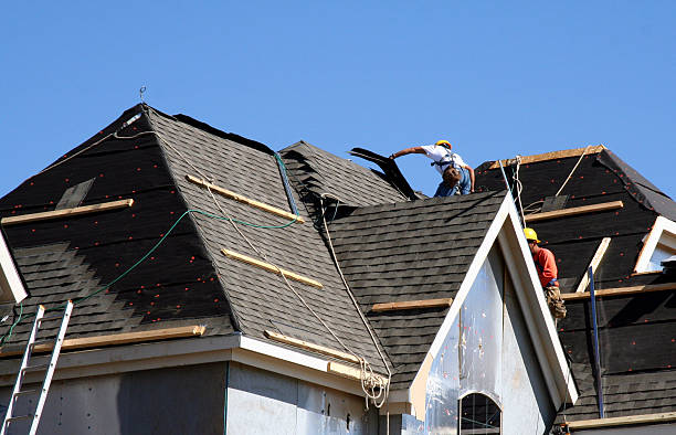 Best Gutter Installation and Roofing  in Horace, ND