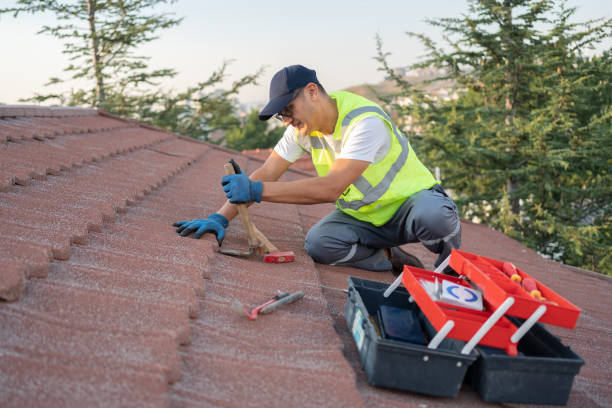 Best Storm Damage Roof Repair  in Horace, ND